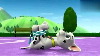 娱乐吃瓜君汪汪,揭秘娱乐圈那些不为人知的幕后故事