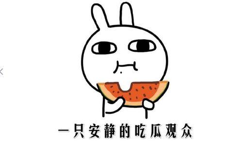 吃瓜啥意思
